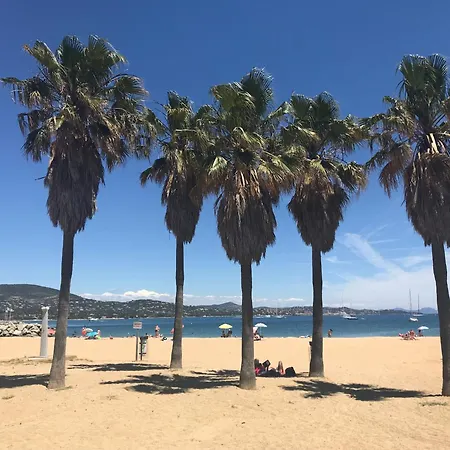 Gasyan - Golfe De St-tropez - Aves Acces Dans Avec Piscine Appartement *