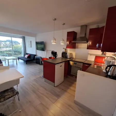 Gasyan - Golfe De St-tropez - Aves Acces Dans Avec Piscine Appartement *